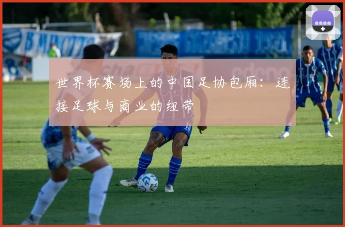 世界杯赛场上的中国足协包厢：连接足球与商业的纽带