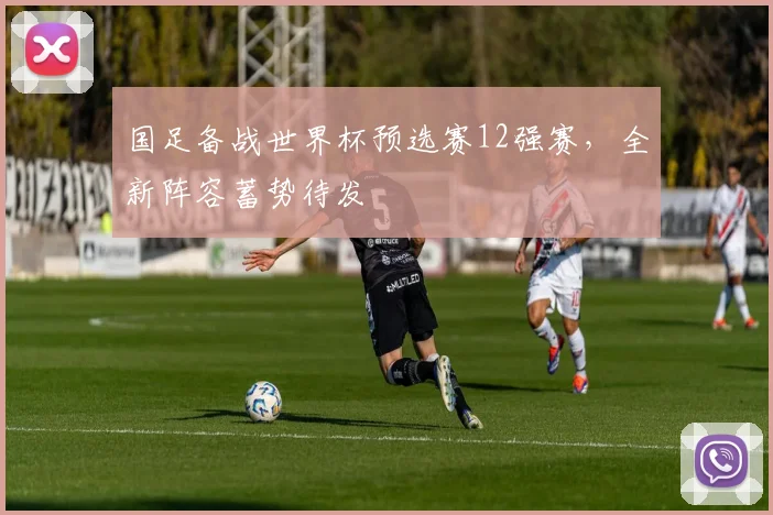 国足备战世界杯预选赛12强赛,全新阵容蓄势待发