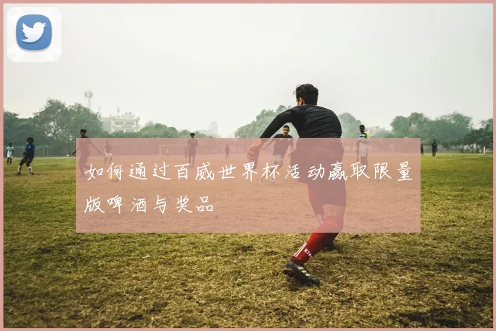 如何通过百威世界杯活动赢取限量版啤酒与奖品